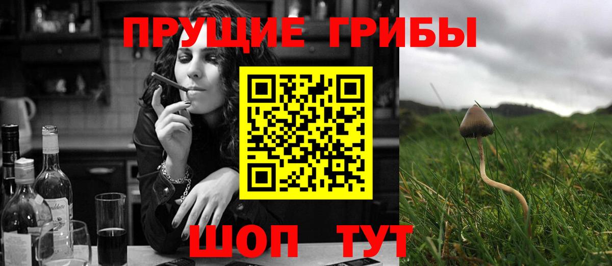 Галлюциногенные грибы ЛСД  Вход с VPN  Ессентуки  Галлюциногенные грибы Cubensis 